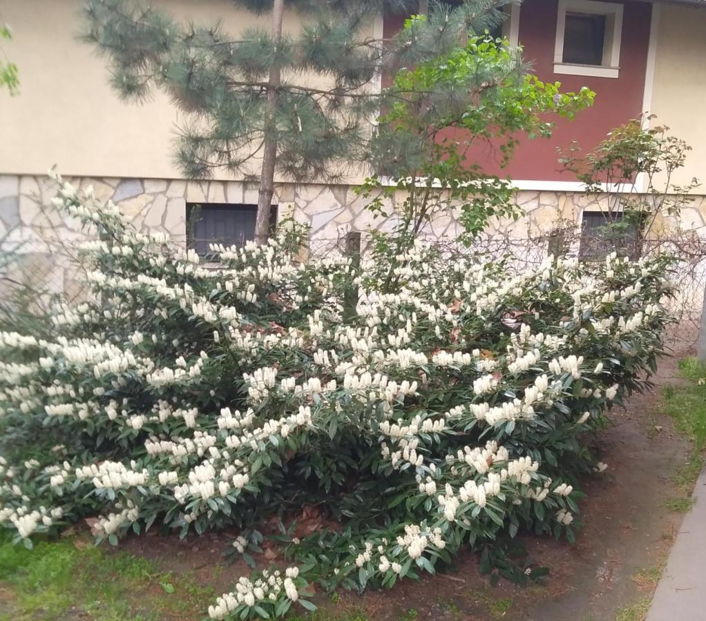 Sandrea I Apartment Szabadka Kültér fotó